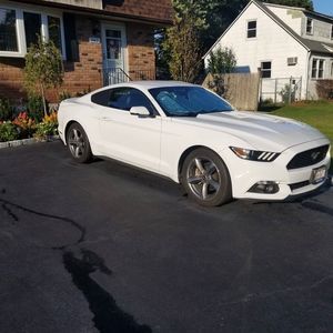 Meet your Posher, Alan